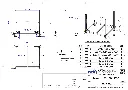 TER STORAGE BASKET PAN01.webp