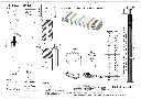TER Class B50.webp